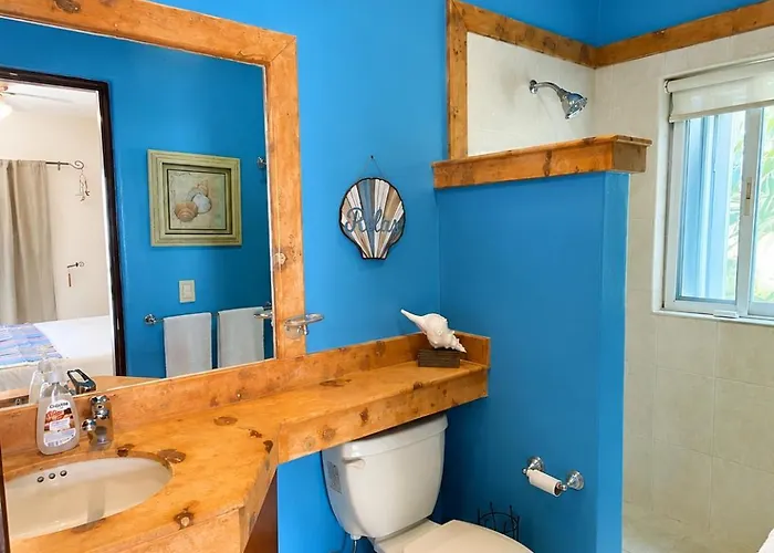 Penthouse 2bd 2ba With Private Rooftop And Plunge Pool