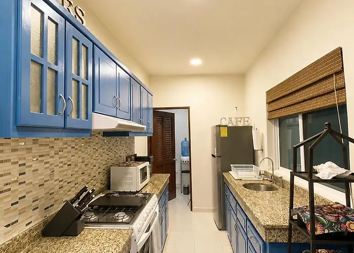 Penthouse 2bd 2ba With Private Rooftop And Plunge Pool Playa del Carmen